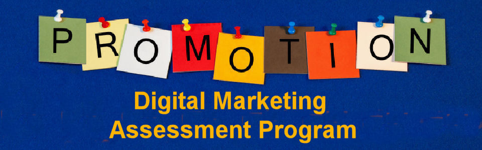 DWS Associates Digital Marketing Assessment Services