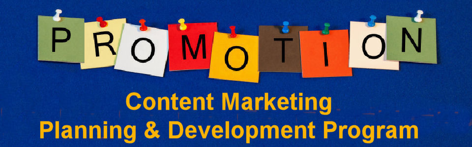 DWS Associates Content Marketing Planning & Development Program