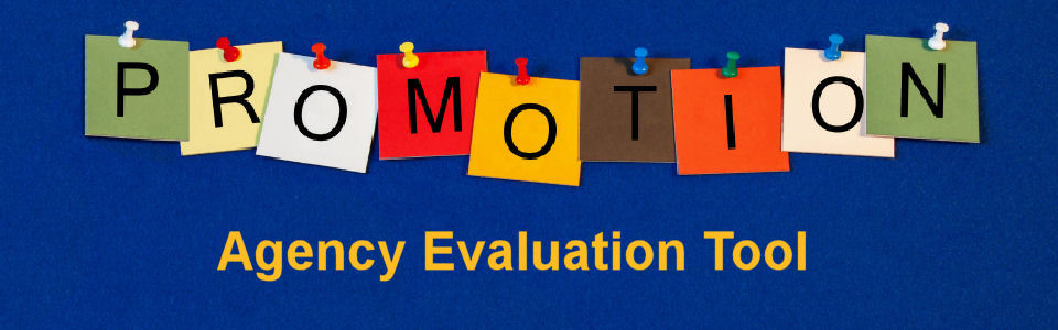 DWS Associates Marketing Agency Evaluation Tool