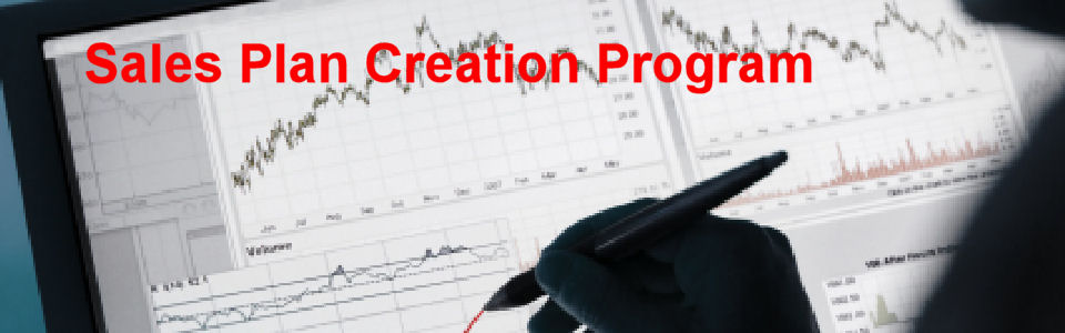 DWS Associates Sales Plan Creation Program