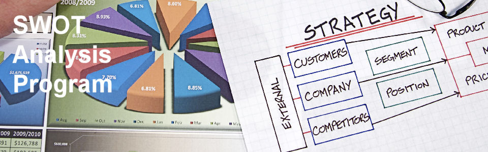 DWS Associates SWOT Analysis Service