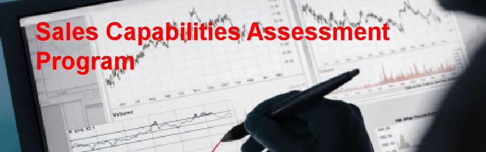 DWS Associates Sales Capabilities Assessment Program Services