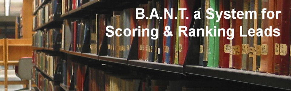 DWS Associates - B.A.N.T. a System for Scoring & Ranking Leads