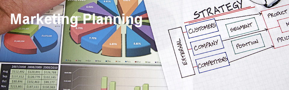 DWS Associates - Marketing Planning Tools
