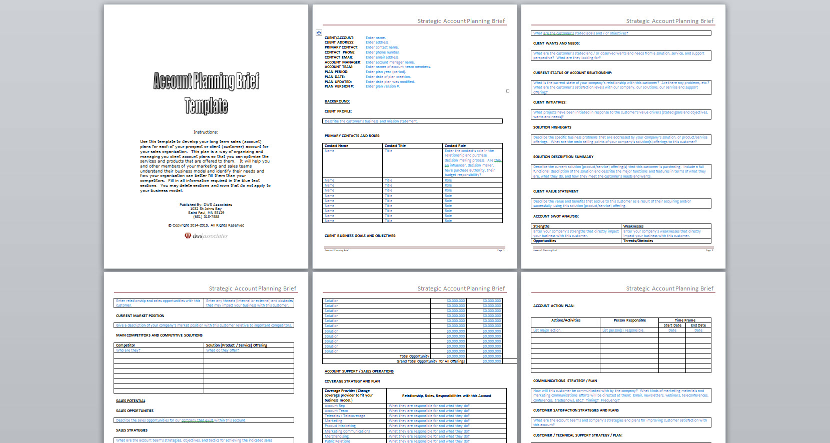 DWS Associates Strategic Account Planning Brief Template
