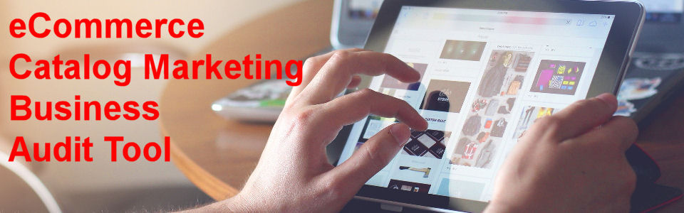 DWS Associates eCommerce Catalog Marketing Business Audit Tool