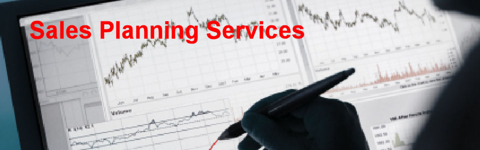 DWS Associates Sales Planning Services