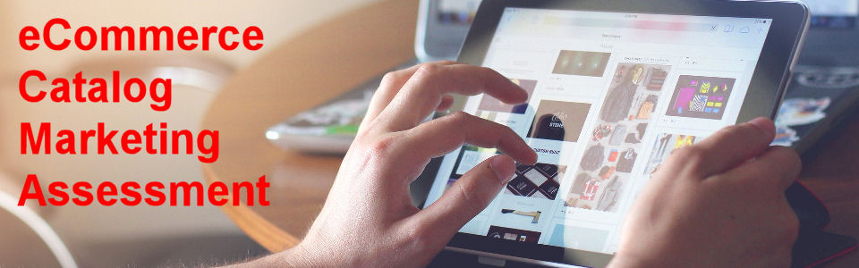 DWS Associates eCommerce Catalog Marketing Assessment
