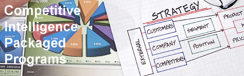 DWS Associates Competitive Intelligence Packaged Service Programs