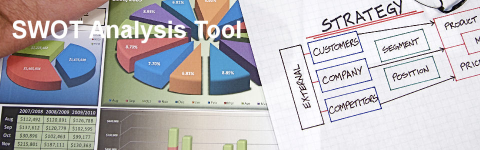 DWS Associates SWOT Analysis Tool