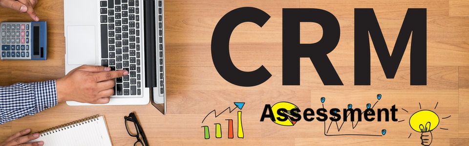 DWS Associates CRM Assessment Tool