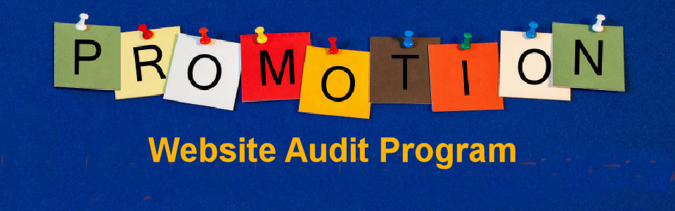 DWS Associates Website Audit Program Services