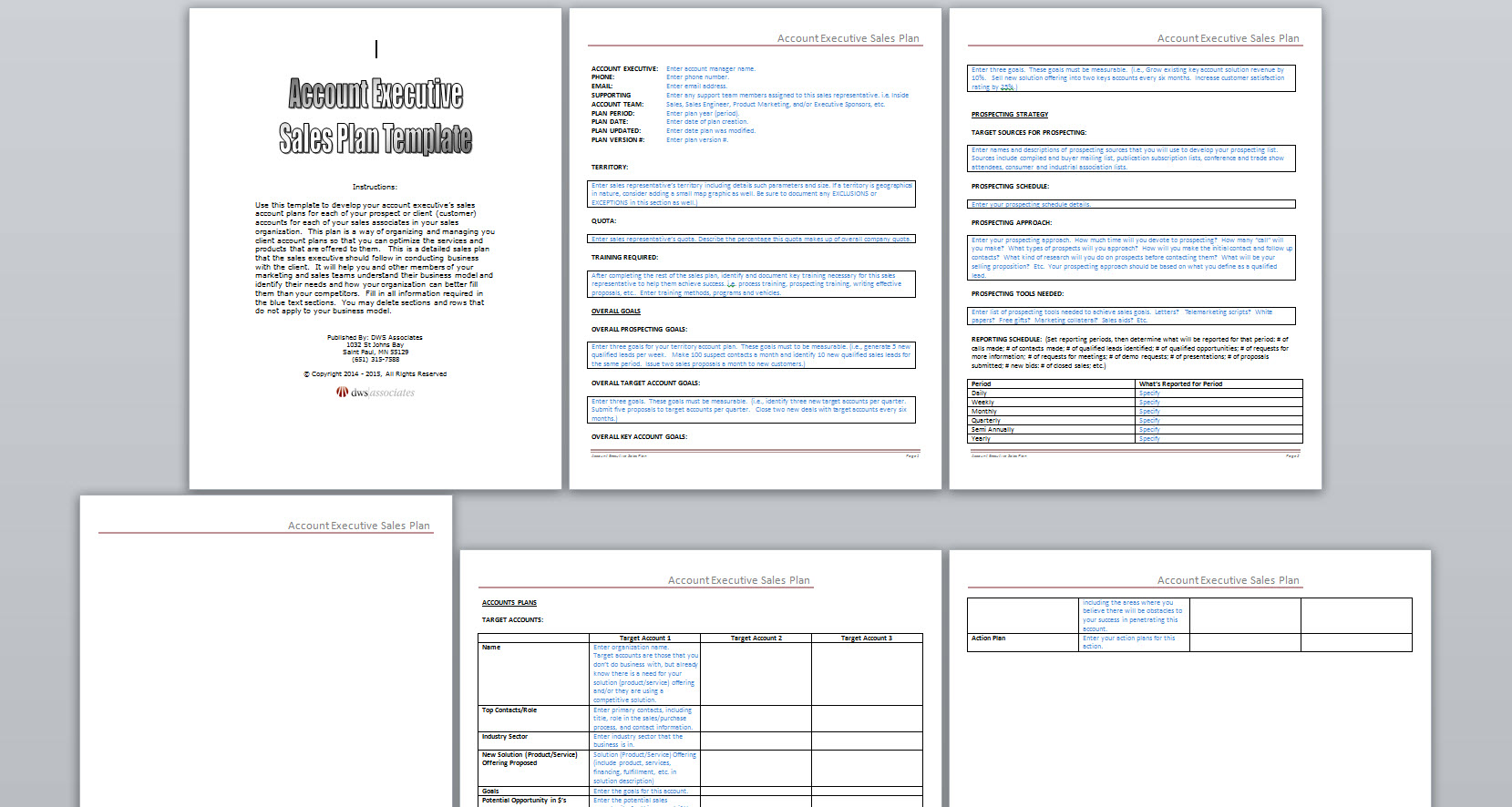 sales executive sales plan template